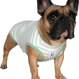 Mint Striped Dog Tank Top